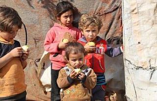 Suriye'deki çadır kentlerde 21 ton meyve dağıtıldı