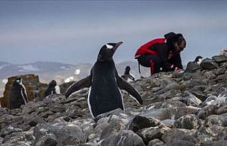Antarktika seferleri meyvelerini veriyor
