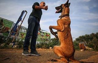 Gazze'de ablukaya rağmen hayalindeki köpek eğitim...