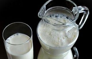 Kaba yemle beslenen hayvanın sütü protein açısından...