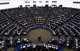 Avrupa Parlamentosu, Türkiye karşıtı provokasyon...