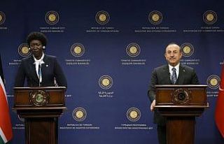 Dışişleri Bakanı Çavuşoğlu: Libya'ya paralı...