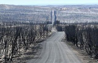 Uzmanlar: Avustralya yangınları 'yeni normal' olabilir