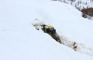 Bitlis'in zorlu coğrafyasında karla mücadele ediyorlar
