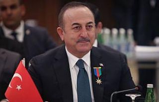 Dışişleri Bakanı Çavuşoğlu: İdlib'deki rejim...