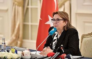 Ticaret Bakanı Pekcan: Türkiye ekonomisinin olumlu...