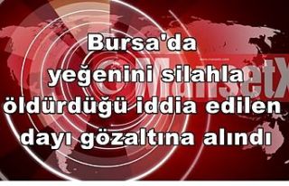 Bursa'da yeğenini silahla öldürdüğü iddia...