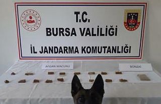 Bursa'da evinde uyuşturucu ele geçirilen şüpheli...