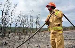 Çanakkale'deki orman yangınına tarım arazisinde...
