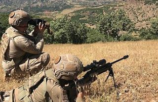 İçişleri Bakanlığı: Bitlis kırsalında 3 terörist...