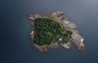 'Mitolojik ada' ziyaretçilerini ağırlıyor
