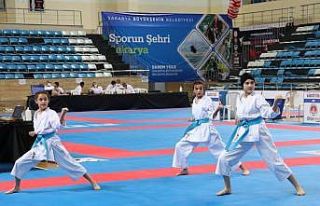 Türkiye Kulüplerarası Takım Karate Şampiyonası...