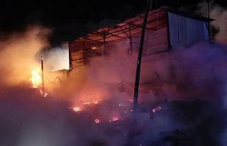 Kocaeli'de palet fabrikasında yangın