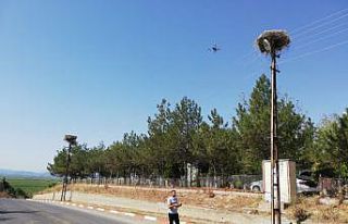 Trakya'da leylek yuvalarının bakımı drone...