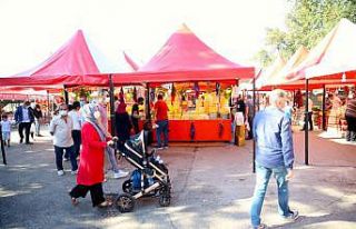 Sakarya'daki festivalde yöresel ürünler damakları...
