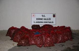 Edirne'de kaçak toplanan 1 ton kum midyesi ele...