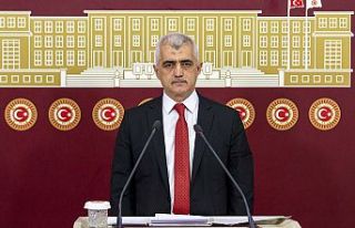 HDP'li Gergerlioğlu: “Çıplak arama şikayetlerini...