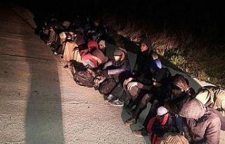 Kırklareli'nde 14 sığınmacı yakalandı