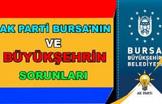 Ak Parti Bursa'nın ve Büyükşehrin Sorunları