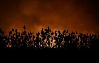 Bursa'daki sazlık yangını söndürüldü