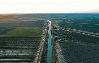 Tatlı su miktarının yüzde 70'i tarımsal...
