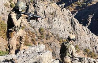 Terör örgütü YPG/PKK'ya aralıkta ağır...