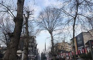 Doğu Marmara ve Batı Karadeniz'de cadde ve sokaklarda...