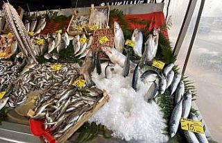 Sakarya ve Zonguldak'ta soğuk hava balık fiyatlarını...