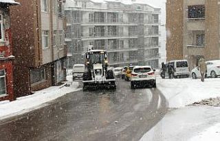 Sakarya ve Zonguldak'ta yoğun kar yağışı etkili...