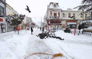 Soğuk havanın etkili olduğu Edirne'de sokak...