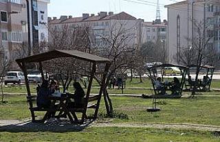 Edirne'de park ve mesire alanlarındaki çok sayıdaki...