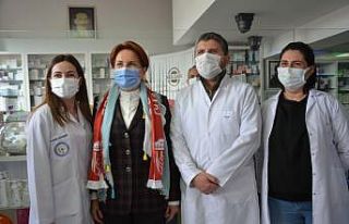 İYİ Parti Genel Başkanı Meral Akşener, Çanakkale'de...