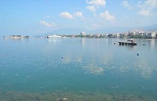 Balıkesir'in Güney Marmara sahilini kaplayan...