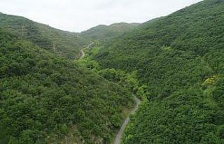 Ganos Dağı eteklerindeki ormanlar ziyaretçilerine...