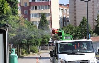 Edirne'deki popülasyonu artan dantel böceğiyle...