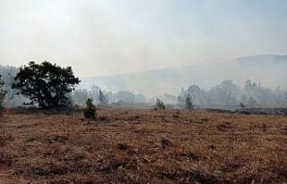 Balıkesir'in Savaştepe ilçesinde orman yangını...