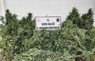 Bursa'da düzenlenen uyuşturucu operasyonunda...
