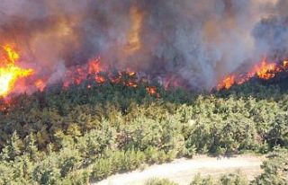 GSK Türkiye’den orman yangınlarından etkilenen...