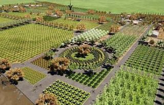 Sakarya Expo 2029 ev sahipliği için hazırlıklara...