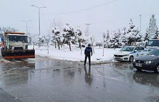 Sakarya'da kar etkili oluyor