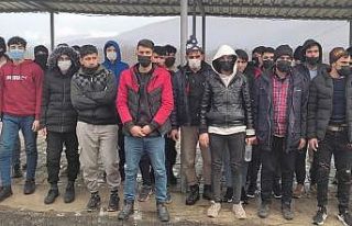 Kırklareli'nde 114 düzensiz göçmen yakalandı