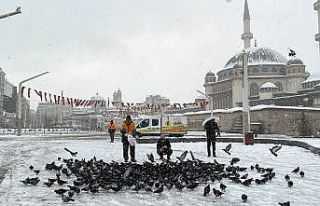 Taksim Meydanı'ndaki güvercinlere Beyoğlu...