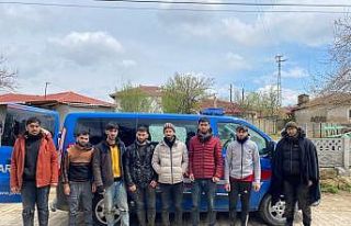 Kırklareli'nde düzensiz göçmen yakalandı