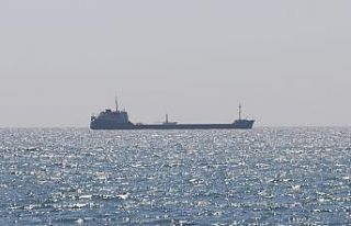Ukrayna'dan buğday taşıyan gemi Tekirdağ'a...