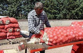 Bandırma'dan 28 ülkeye soğan tohumu ihraç...