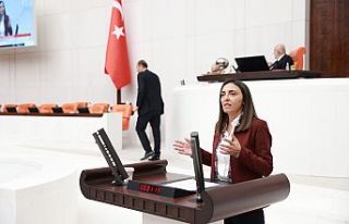CHP'li Altaca Kayışoğlu "Teklif sahipleri...