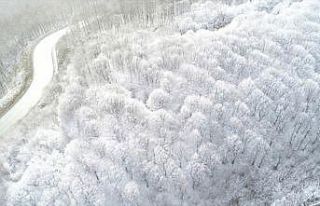 Kırklareli'nin yüksek kesimlerinde kar etkili...