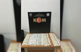Yalova'da sahte dolarla yakalanan zanlı tutuklandı