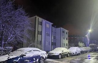 Sakarya'da kar yağışı etkili oldu