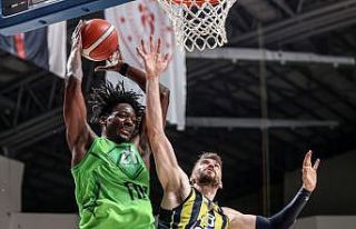 Türkiye Sigorta Basketbol Süper Ligi play-off çeyrek...